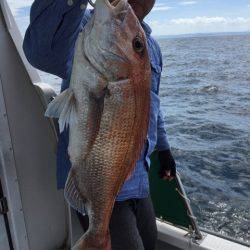 さくら丸 釣果