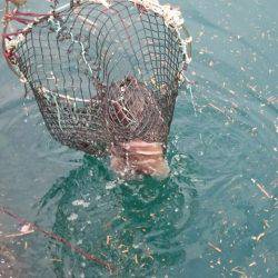 釣り堀水宝 釣果