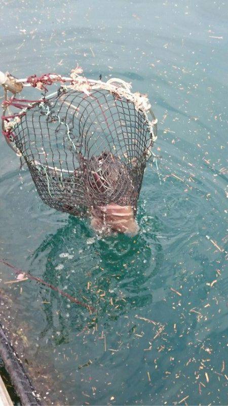 釣り堀水宝 釣果