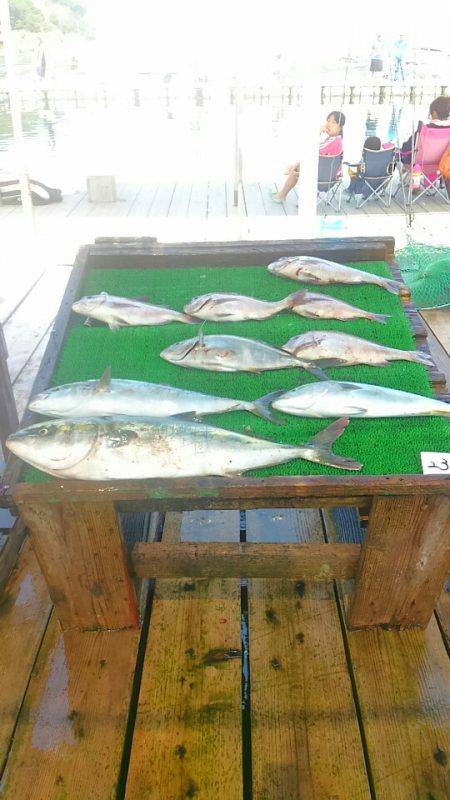 海の釣堀 海恵 釣果