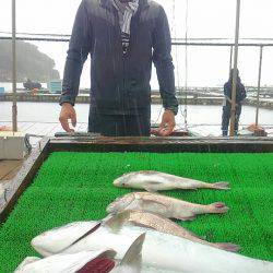 海の釣堀 海恵 釣果