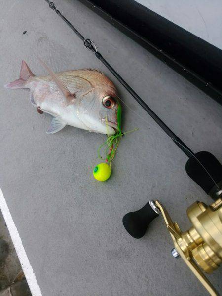 ありもと丸 釣果