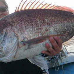 シースナイパー海龍 釣果