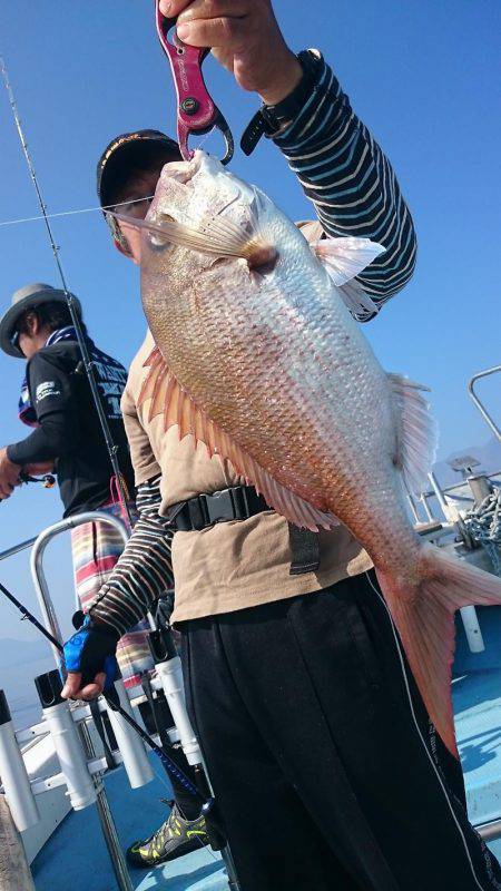 シースナイパー海龍 釣果