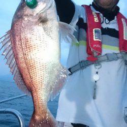 シースナイパー海龍 釣果