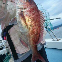 シースナイパー海龍 釣果