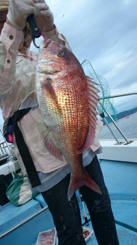 シースナイパー海龍 釣果