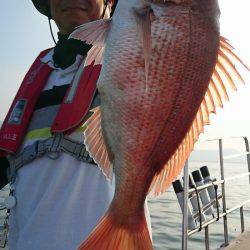 シースナイパー海龍 釣果