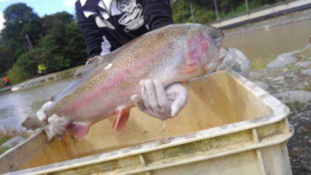 つりぼりあかし 釣果