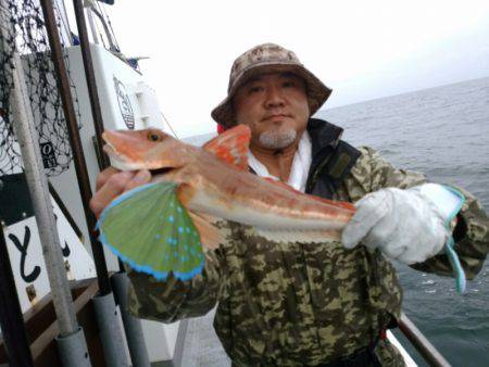 ありもと丸 釣果