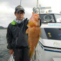 きずなまりん 釣果