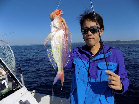 フィッシングボート空風（そらかぜ） 釣果