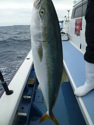 松栄丸 釣果