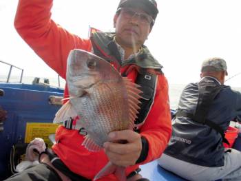 鯛紅丸 釣果