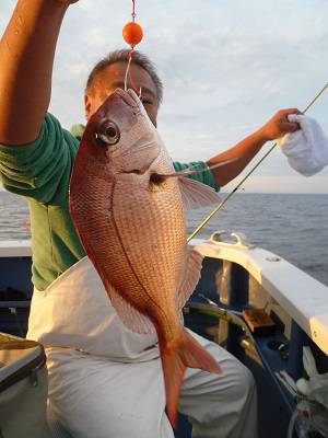 松栄丸 釣果