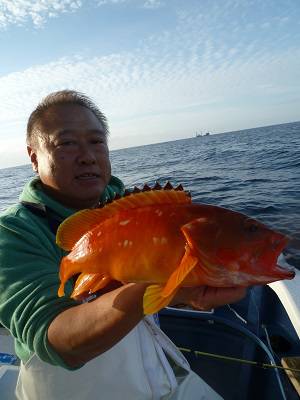 松栄丸 釣果