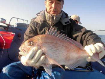 鯛紅丸 釣果