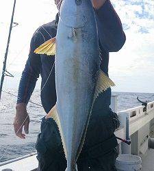 海龍丸（福岡） 釣果