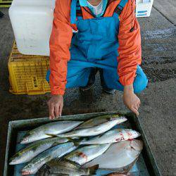 明神釣船 釣果