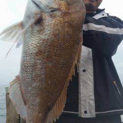 飛燕さくら丸 釣果