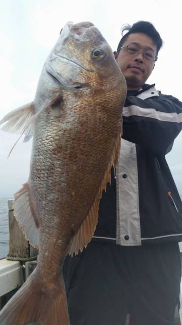 飛燕さくら丸 釣果