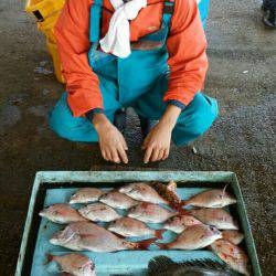 明神釣船 釣果