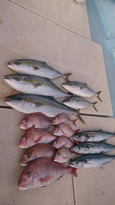 旭星釣りセンター 釣果