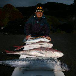 オーシャンズ　京都 釣果