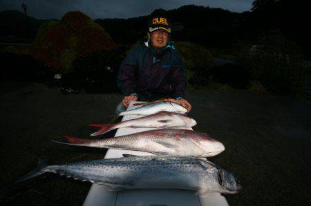 オーシャンズ　京都 釣果