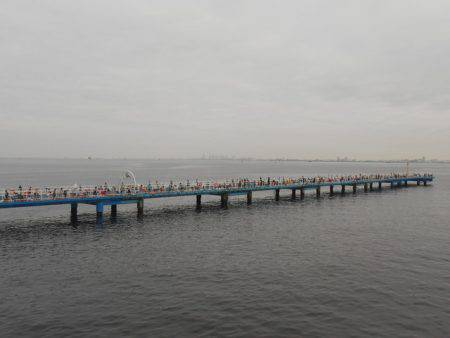 オリジナルメーカー海づり公園(市原市海づり施設) 釣果