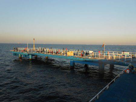 オリジナルメーカー海づり公園(市原市海づり施設) 釣果