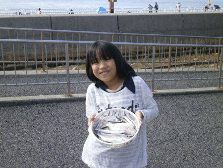 大阪南港海つり公園 釣果