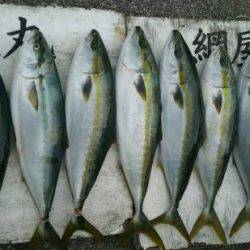 網屋丸 釣果