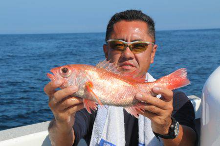 へいみつ丸 釣果