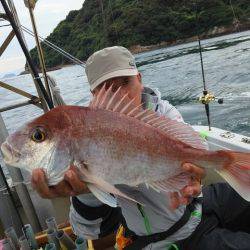 遊漁船　ニライカナイ 釣果