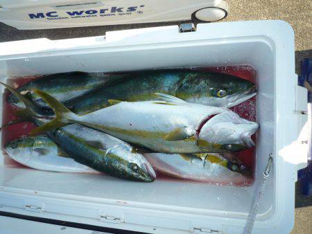 浅間丸 釣果