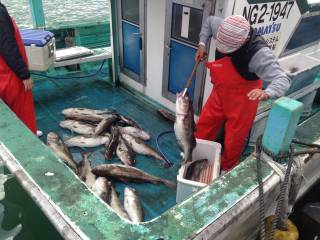 なかくに丸 釣果