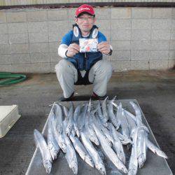 まとばや 釣果