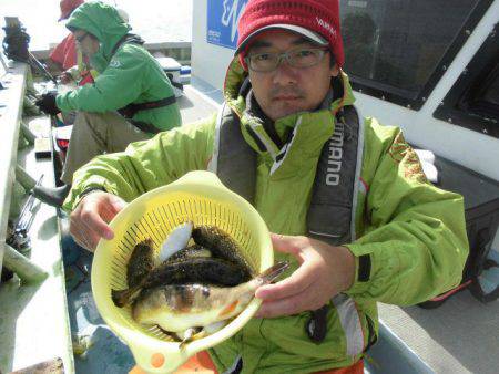 大進丸（愛知） 釣果