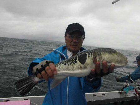 大進丸（愛知） 釣果