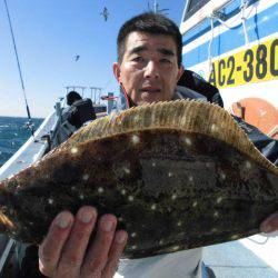 大進丸（愛知） 釣果