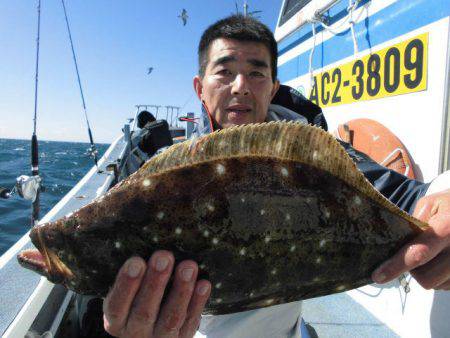 大進丸（愛知） 釣果