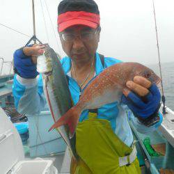 大進丸（愛知） 釣果