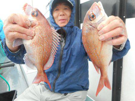 大進丸（愛知） 釣果