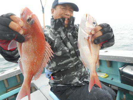 大進丸（愛知） 釣果