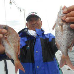 大進丸（愛知） 釣果