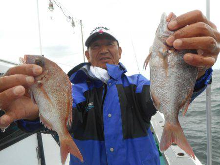 大進丸（愛知） 釣果