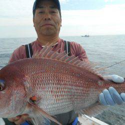 大進丸（愛知） 釣果