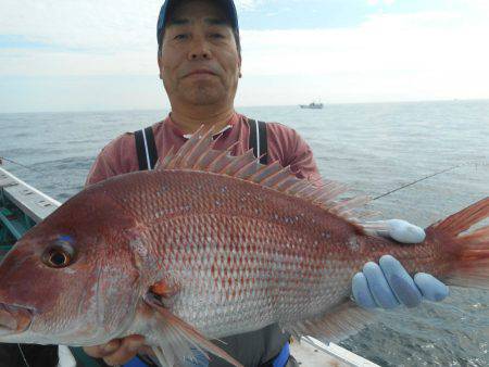 大進丸（愛知） 釣果