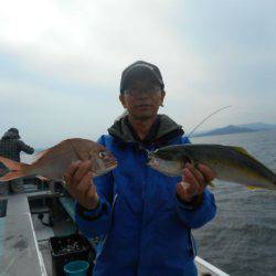 大進丸（愛知） 釣果